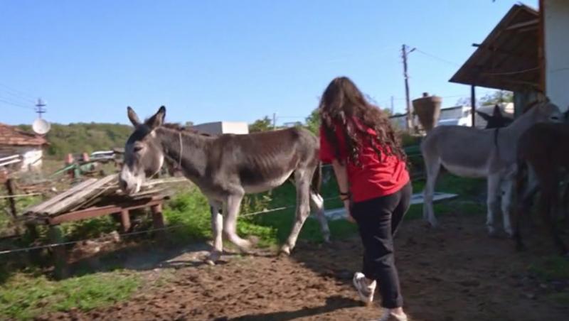 Poftiți pe la noi: Poftiți la întrecere, 25 iunie 2025. Ce echipă a câștigat proba la ferma de măgari. Ce l-a înfuriat pe Liviu
