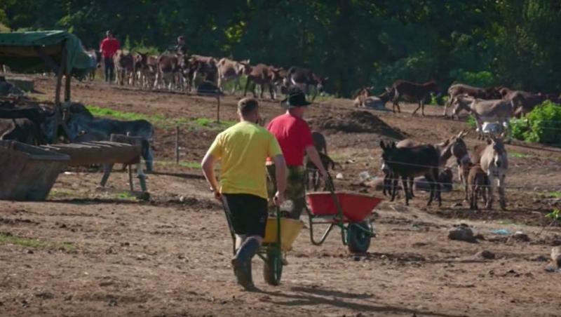 Poftiți pe la noi: Poftiți la întrecere, 25 iunie 2025. Ce echipă a câștigat proba la ferma de măgari. Ce l-a înfuriat pe Liviu