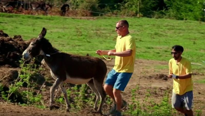 Poftiți pe la noi: Poftiți la întrecere, 25 iunie 2025. Ce echipă a câștigat proba la ferma de măgari. Ce l-a înfuriat pe Liviu