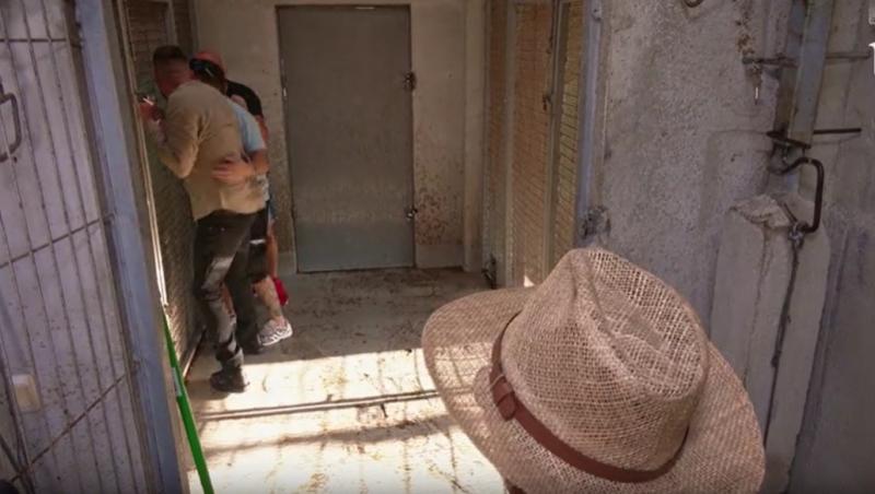 Poftiți pe la noi: Poftiți la întrecere, 25 iunie 2025. Ce echipă a câștigat proba la ferma de măgari. Ce l-a înfuriat pe Liviu