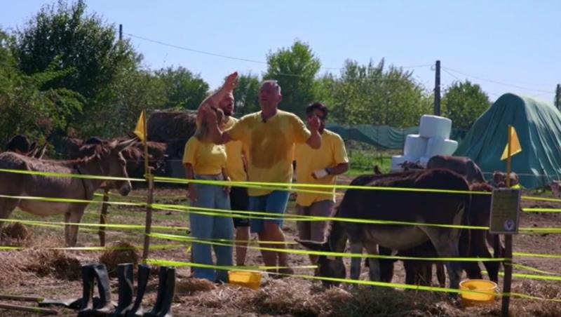 Poftiți pe la noi: Poftiți la întrecere, 25 iunie 2025. Ce echipă a câștigat proba la ferma de măgari. Ce l-a înfuriat pe Liviu
