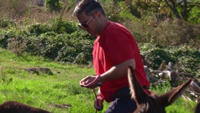 Poftiți pe la noi: Poftiți la întrecere, 25 iunie 2025. Ce echipă a câștigat proba la ferma de măgari. Ce l-a înfuriat pe Liviu