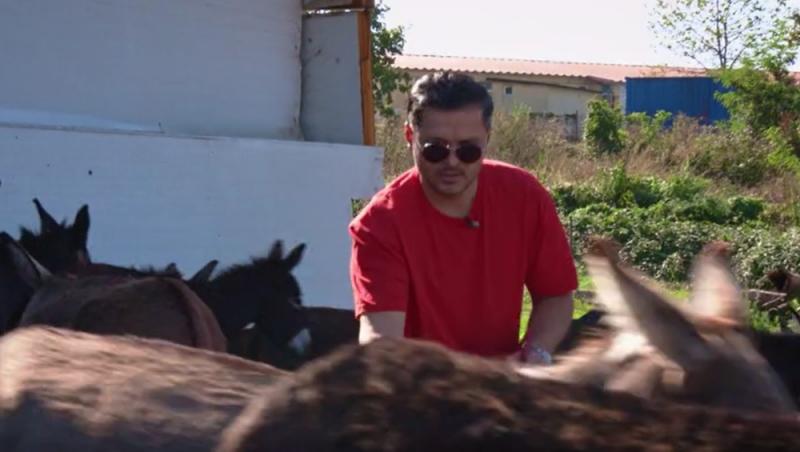 Poftiți pe la noi: Poftiți la întrecere, 25 iunie 2025. Ce echipă a câștigat proba la ferma de măgari. Ce l-a înfuriat pe Liviu