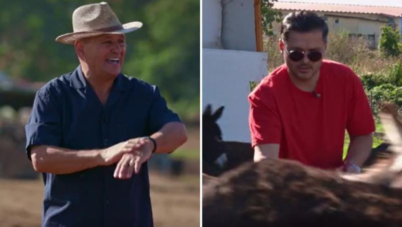 Poftiți pe la noi: Poftiți la întrecere, 25 iunie 2025. Ce echipă a câștigat proba la ferma de măgari. Ce l-a înfuriat pe Liviu