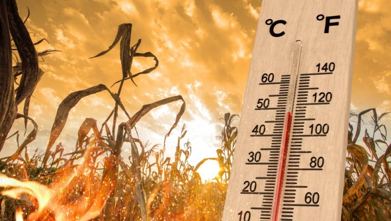Cum va fi vremea în weekend în București și în țară. Ce temperaturi anunță meteorologii