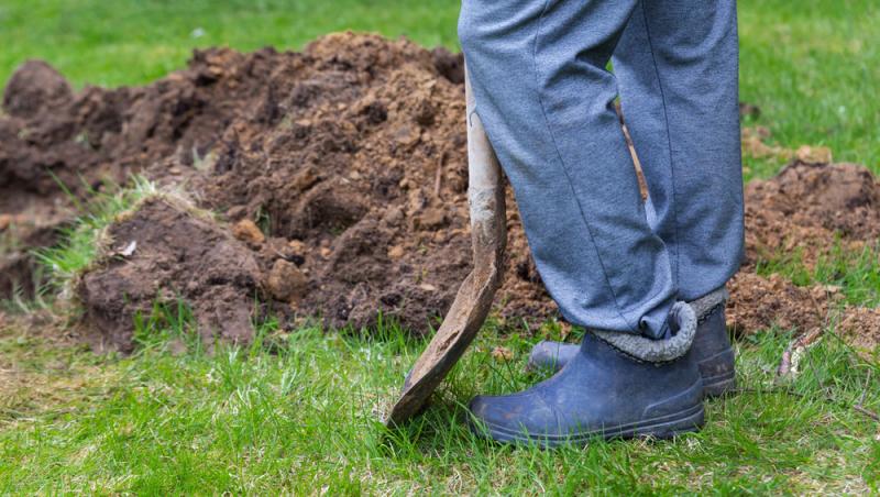 Înmormântările eco, tot mai populare decât cele tradiționale. Ce presupun și cât costă