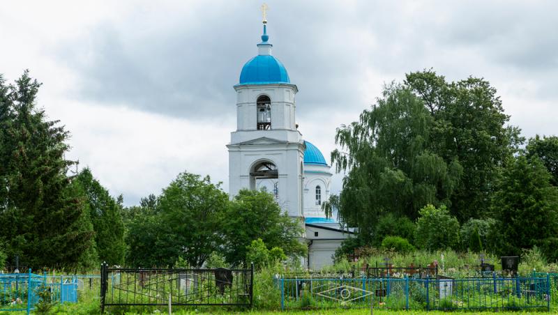 Înmormântările eco, tot mai populare decât cele tradiționale. Ce presupun și cât costă