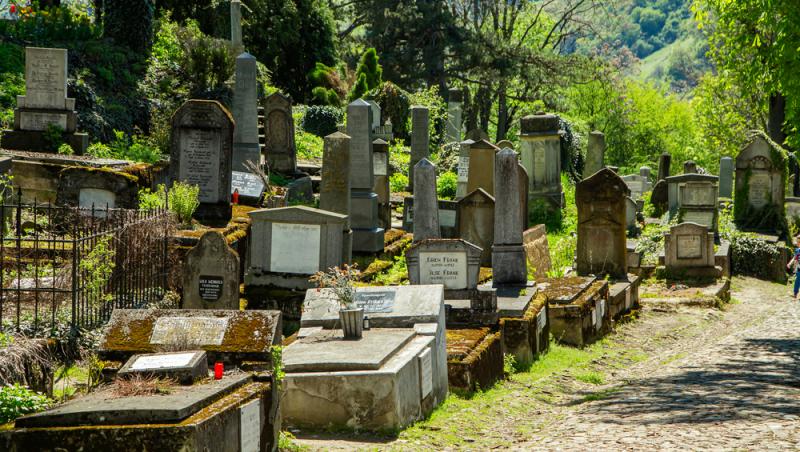 Înmormântările eco, tot mai populare decât cele tradiționale. Ce presupun și cât costă