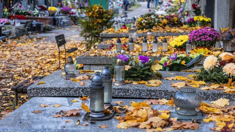 Înmormântările eco, tot mai populare decât cele tradiționale. Ce presupun și cât costă