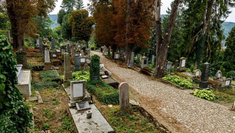 Înmormântările eco, tot mai populare decât cele tradiționale. Ce presupun și cât costă