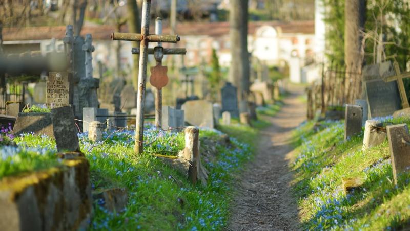 Înmormântările eco, tot mai populare decât cele tradiționale. Ce presupun și cât costă