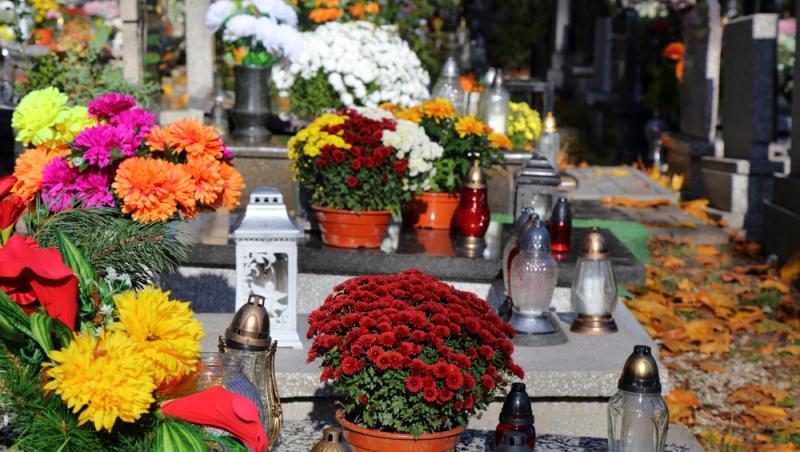 Înmormântările eco, tot mai populare decât cele tradiționale. Ce presupun și cât costă