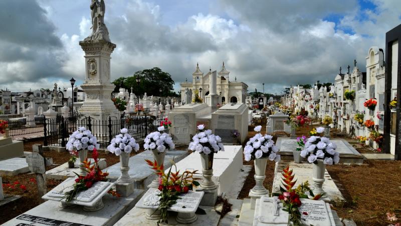 Înmormântările eco, tot mai populare decât cele tradiționale. Ce presupun și cât costă