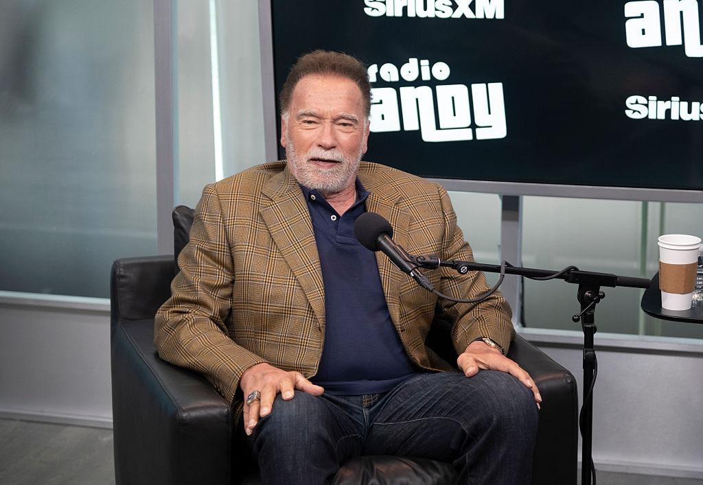 Arnold Schwarzenegger îmbrăcat cu un sacou maro în carouri, la o emisiune
