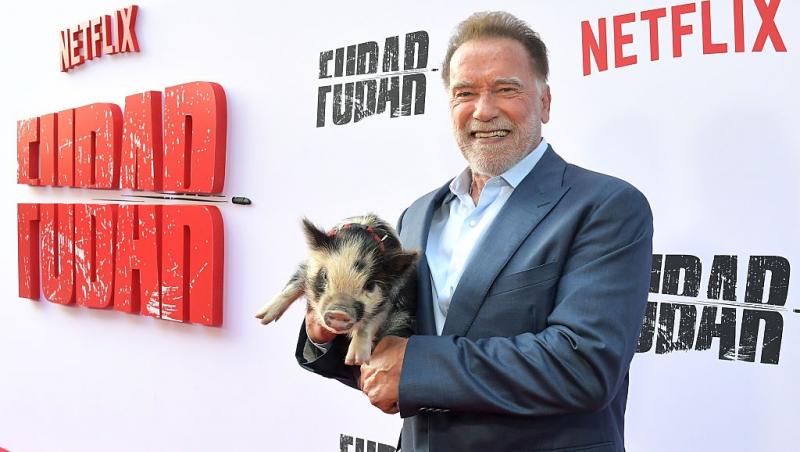 Arnold Schwarzenegger îmbrăcat cu un costum bleumarin, ținând un porcușor în brațe