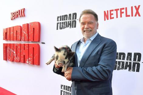 Filmul care i-a umplut conturile lui Arnold Schwarzenegger: „Am mers direct la bancă”. Nu e vorba despre „Terminator”!