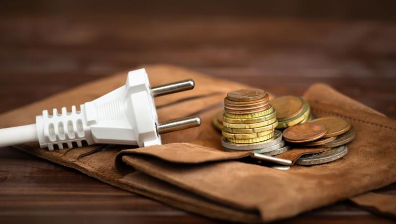 Ajutor de 50 de lei timp de nouă luni pentru plata energiei electrice. Cine sunt românii care pot beneficia de acest ajutor
