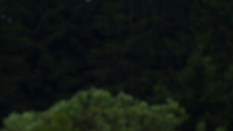 S-au încheiat calificările din Formula 1™ pentru Marele Premiu al Austriei. Lando Norris în pole position la Spielberg