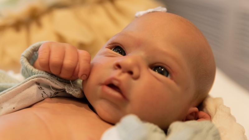 De la terapie la afacere. Păpușile „reborn” au creat controverse la nivel mondial. Ce spun oamenii despre acest fenomen