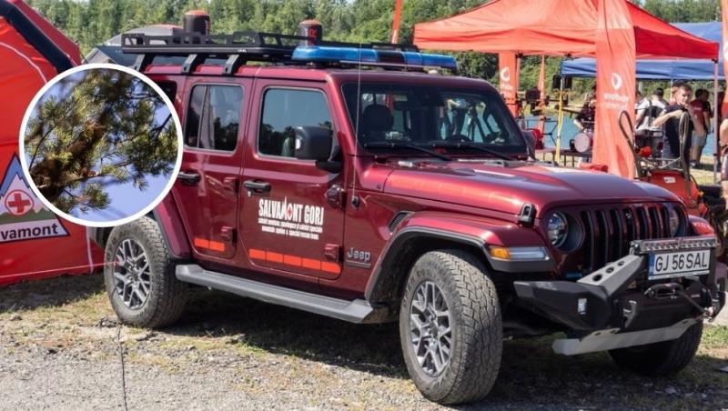 colaj mașină de teren a salvamontului și un jder de copac într-un copac