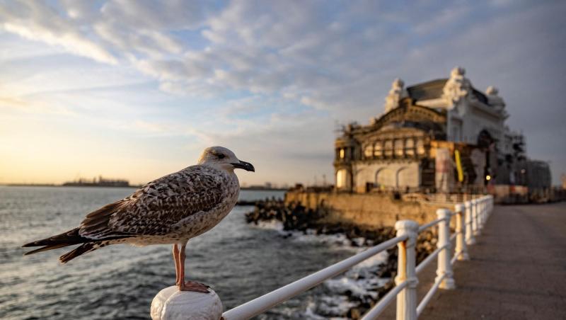 Cazinoul din Constanța a fost vandalizat la doar două săptămâni de la deschidere: „Au desprins foițele de aur de pe pereți” | FOTO