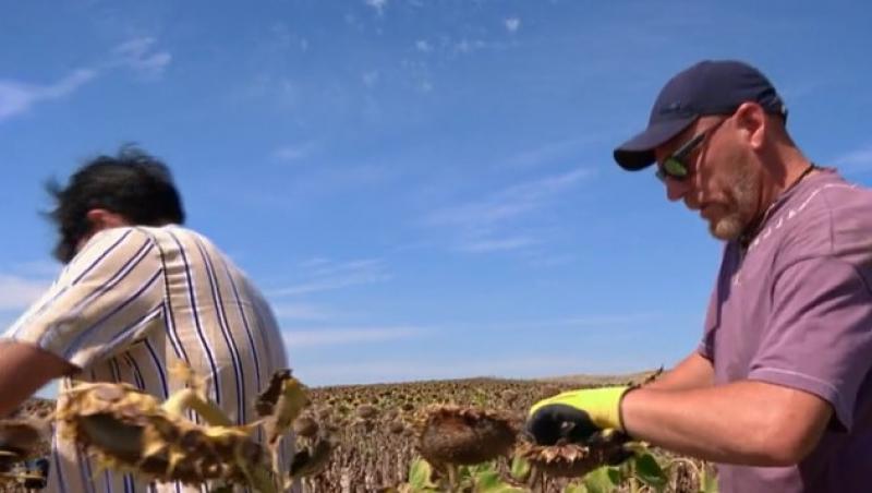 Poftiți pe la noi: Poftiți la întrecere, 9 iunie 2025. Ce echipă de vedete a câștigat proba. Gestul care a pornit discuții aprinse