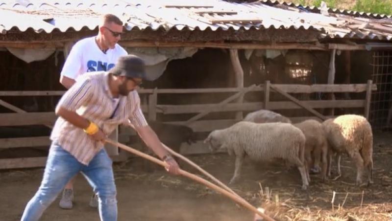 Poftiți pe la noi: Poftiți la întrecere, 9 iunie 2025. Ce echipă de vedete a câștigat proba. Gestul care a pornit discuții aprinse