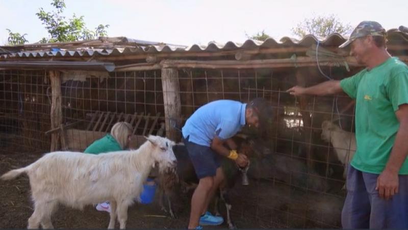 Poftiți pe la noi: Poftiți la întrecere, 9 iunie 2025. Ce echipă de vedete a câștigat proba. Gestul care a pornit discuții aprinse