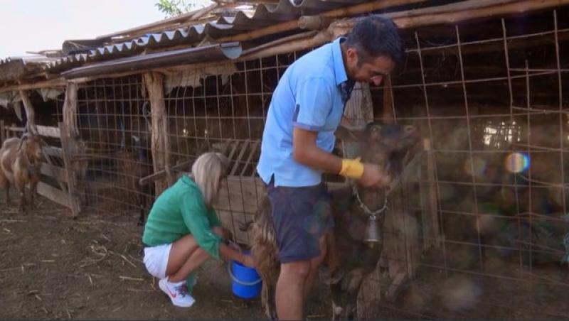 Poftiți pe la noi: Poftiți la întrecere, 9 iunie 2025. Ce echipă de vedete a câștigat proba. Gestul care a pornit discuții aprinse