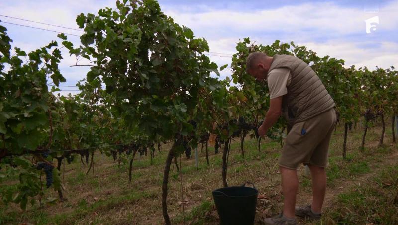 Poftiți pe la noi: Poftiți la întrecere, 1 iulie 2025. Ce echipă a câștigat proba la păstrăvărie. Ce l-a scos din minți pe Rikito