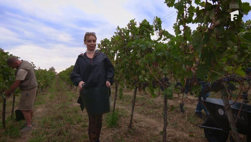 Poftiți pe la noi: Poftiți la întrecere, 1 iulie 2025. Ce echipă a câștigat proba la păstrăvărie. Ce l-a scos din minți pe Rikito