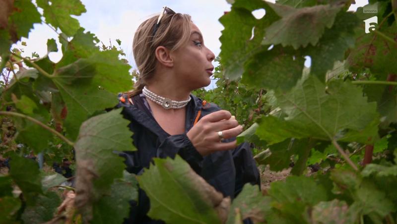 Poftiți pe la noi: Poftiți la întrecere, 1 iulie 2025. Ce echipă a câștigat proba la păstrăvărie. Ce l-a scos din minți pe Rikito