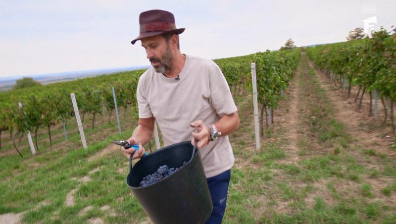 Poftiți pe la noi: Poftiți la întrecere, 1 iulie 2025. Ce echipă a câștigat proba la păstrăvărie. Ce l-a scos din minți pe Rikito