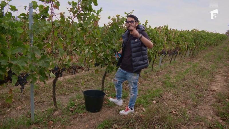 Poftiți pe la noi: Poftiți la întrecere, 1 iulie 2025. Ce echipă a câștigat proba la păstrăvărie. Ce l-a scos din minți pe Rikito