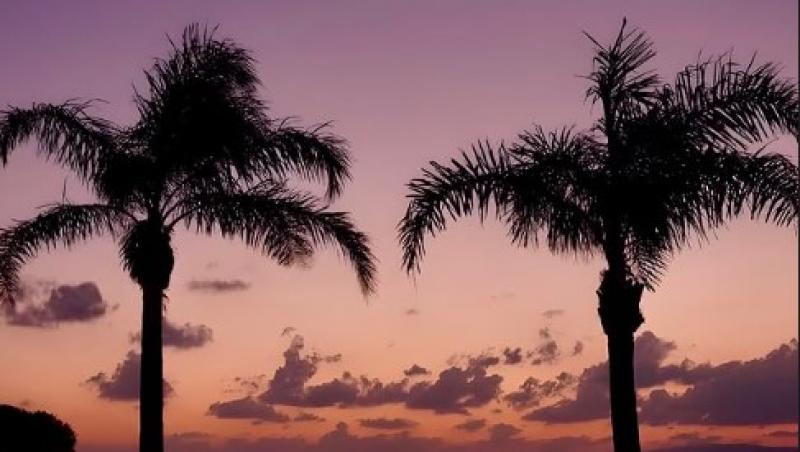 Jasmine Ianțu, fiica lui Virgil Ianțu, formează un cuplu cu Sebastian Dobrincu. Cum s-au dat de gol tinerii îndrăgostiți