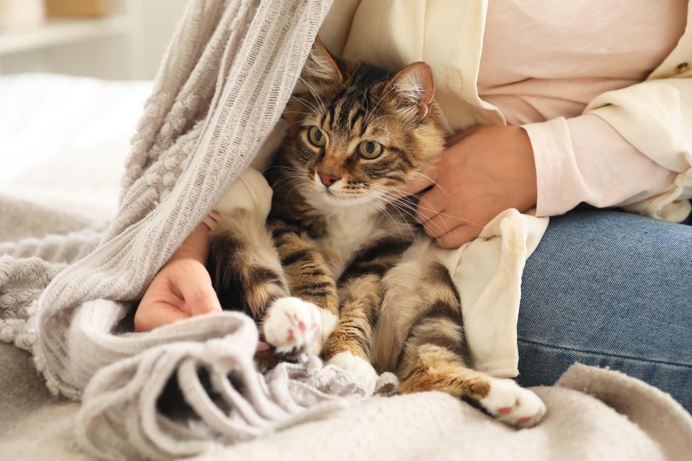 femeie care ține o psiciă lângă ea