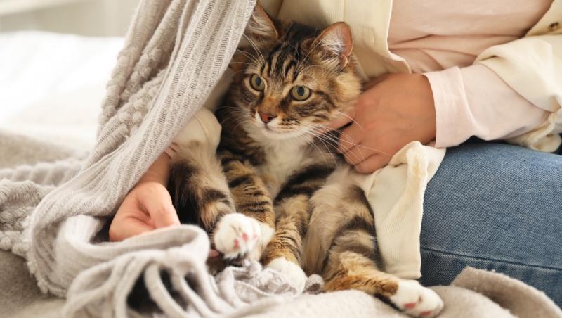 femeie care ține o psiciă lângă ea