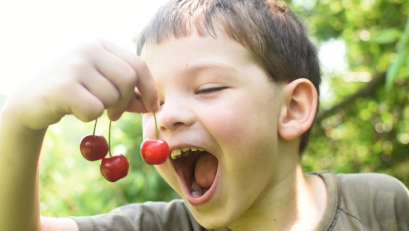 Ce a pățit un bărbat după ce a mâncat 2 kilograme de cireșe cu tot cu sâmburi. Ce i-a spus medicul