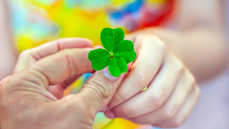 Ce simbolizează, de fapt, trifoiul cu patru foi. Ce superstiții românești sunt legate de el