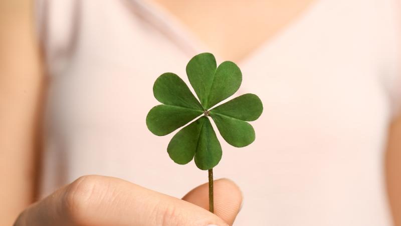 Ce simbolizează, de fapt, trifoiul cu patru foi. Ce superstiții românești sunt legate de el