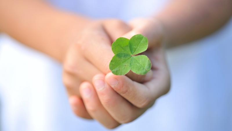 Ce simbolizează, de fapt, trifoiul cu patru foi. Ce superstiții românești sunt legate de el