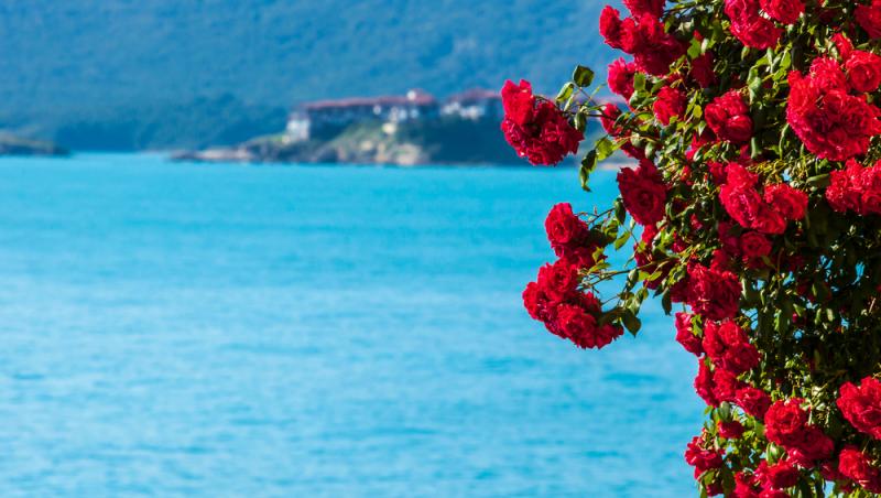 Cât a plătit un român pentru un prânz în Bulgaria. Cum au reacționat internauții când au văzut bonul