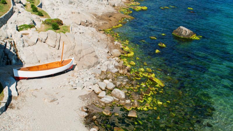 Cât a plătit un român pentru un prânz în Bulgaria. Cum au reacționat internauții când au văzut bonul