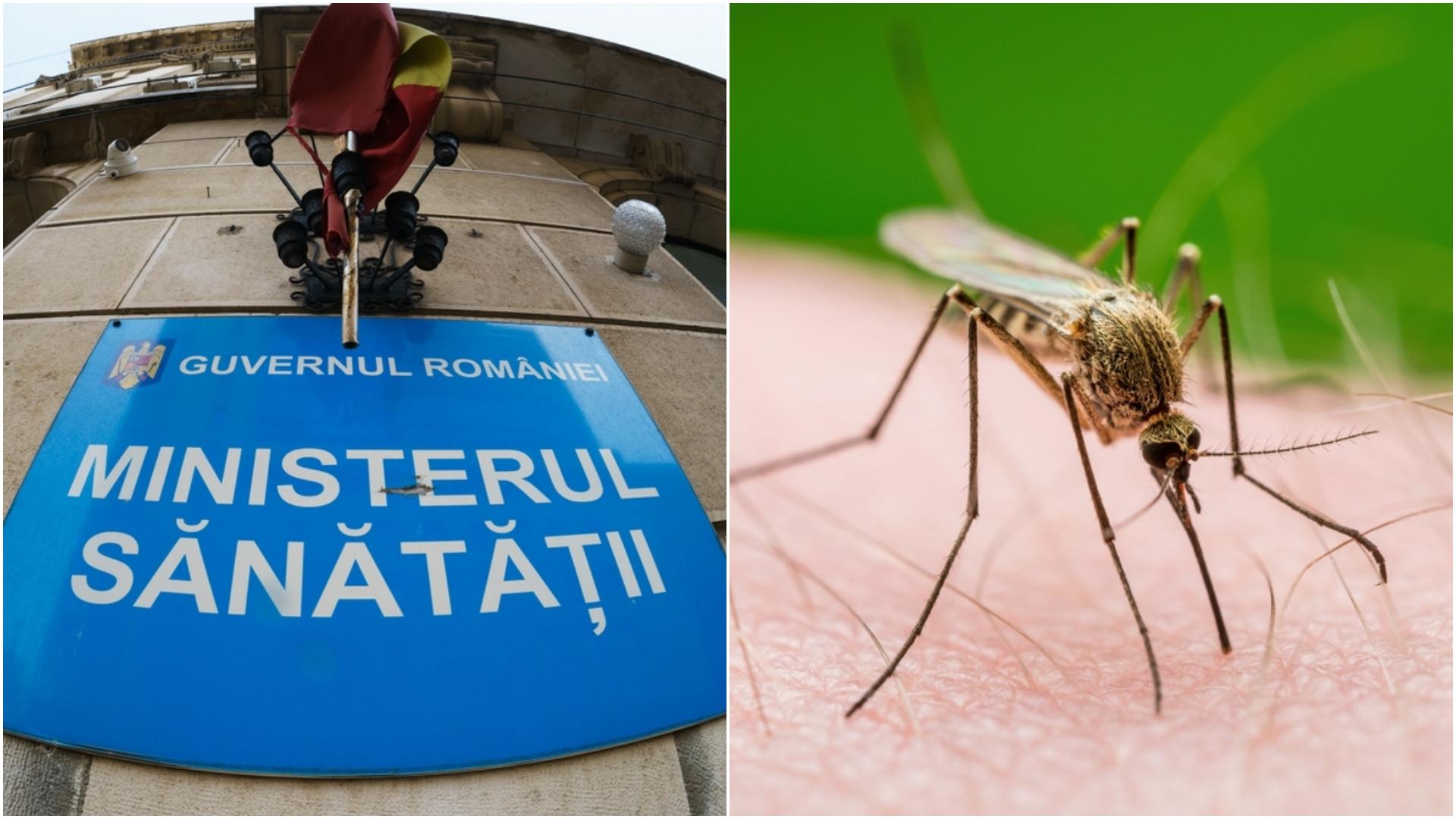 imagine cu cladirea ministerului sanatatotii din romania si un țântar pe mână