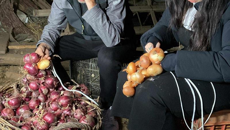 Poftiți pe la noi: Poftiți la întrecere, 13 iulie 2025. Ce echipă a câștigat proba. Spiritele s-au încins între vedetele adversare