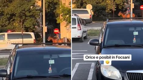 Scenă de film pe o stradă din Focșani! O mașină de poliție a urmărit un bărbat călare pe un cal. Imagini virale