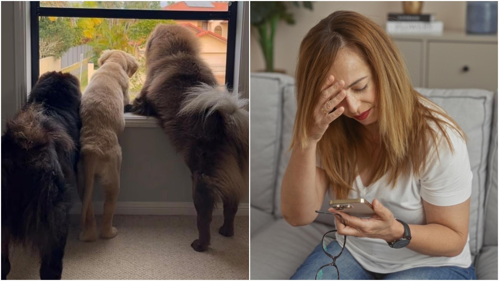 A postat o imagine adorabilă cu cei trei câini ai săi, dar a costat-o scump. De ce a fost nevoită să plătească 50.000 de dolari