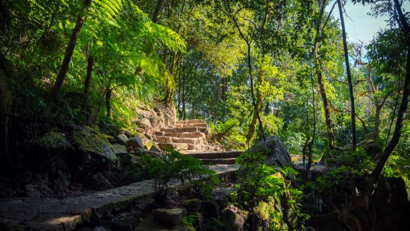 O femeie și-a crescut fiicele într-o peșteră. Cum au supraviețuit și ce au declarat autoritățile | VIDEO