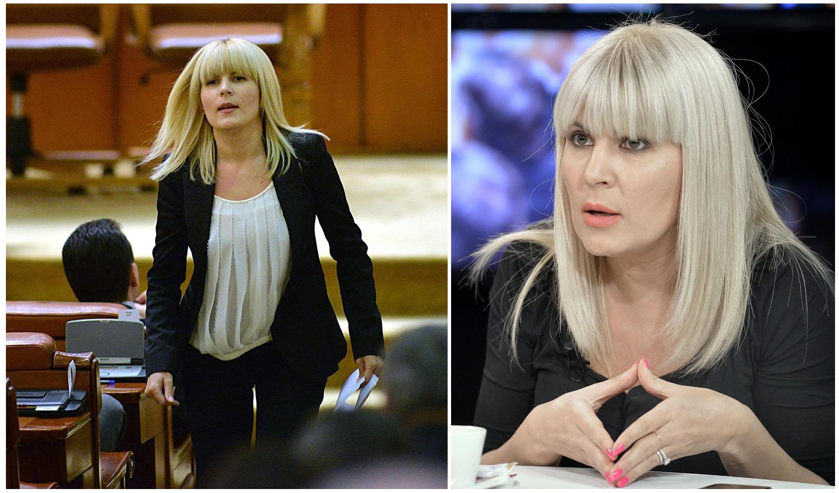 colaj foto cu elena udrea