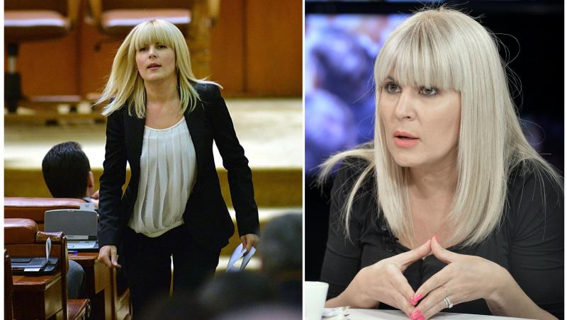 colaj foto cu elena udrea